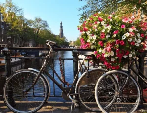 Conclude with Amsterdam's timeless allure




