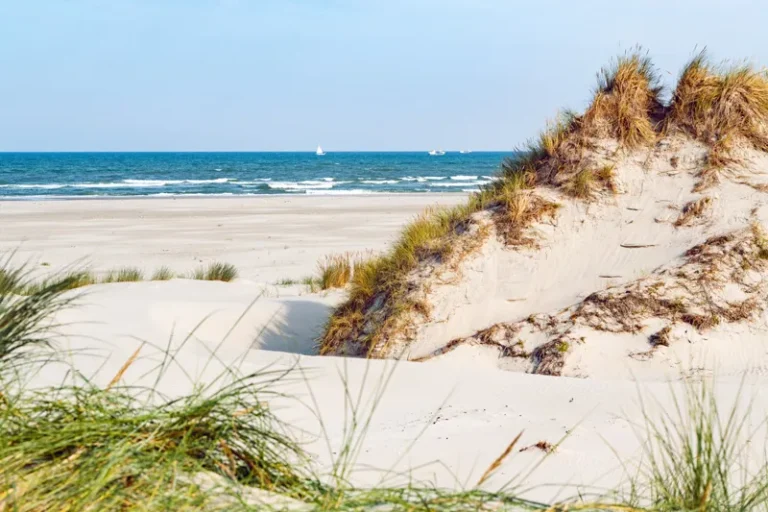 B a terschelling sandklitter strand hav jeroen berends