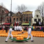 B c alkmaar