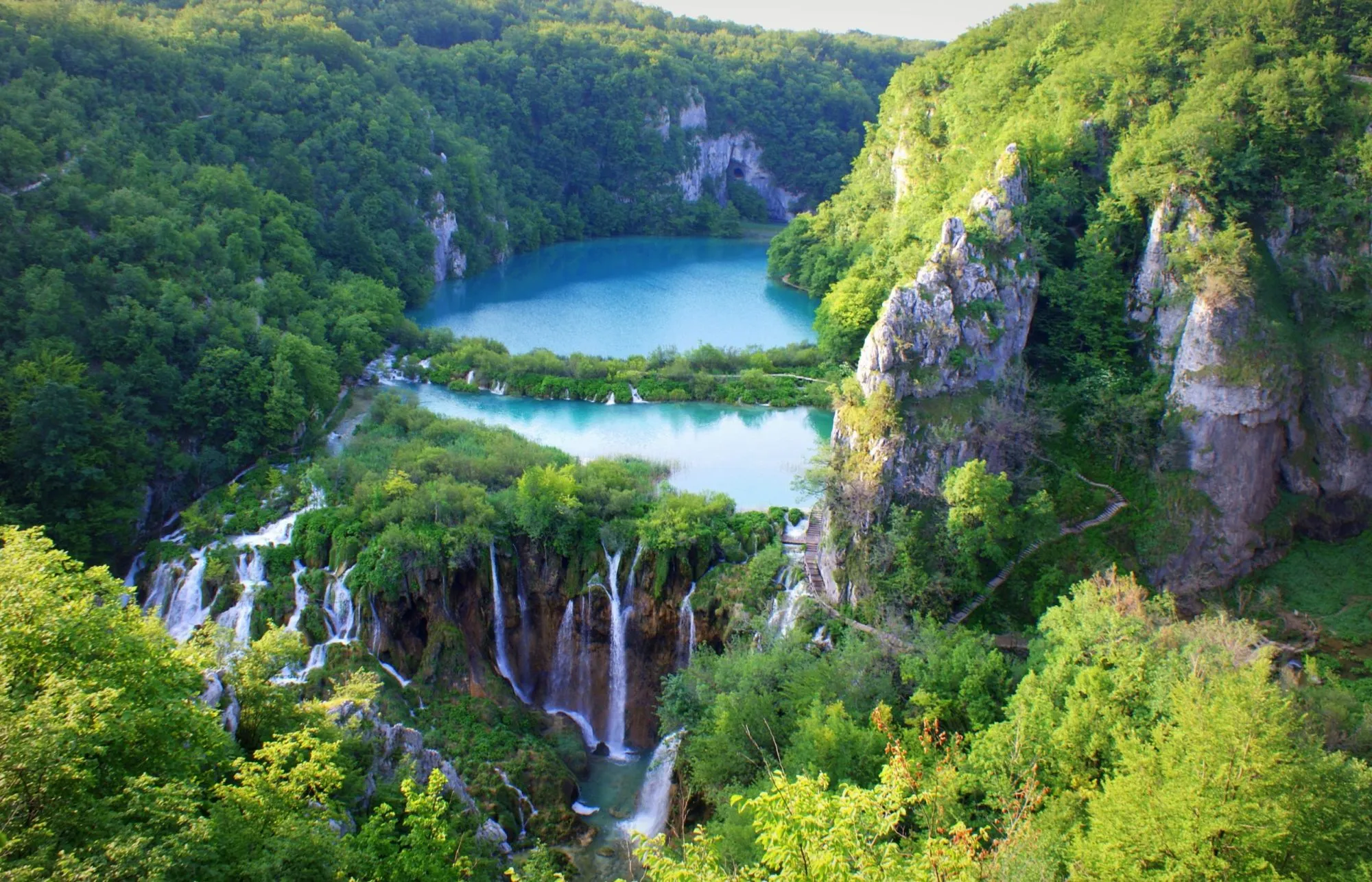 foto di copertina