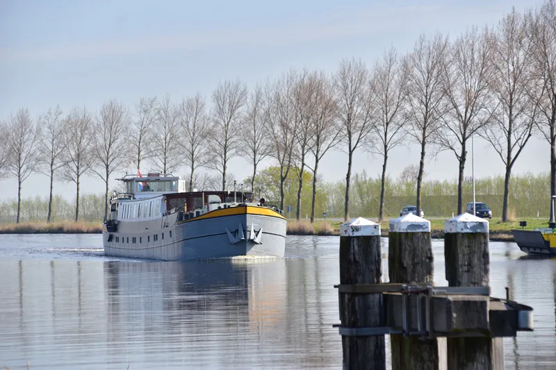 C b cf the lena maria