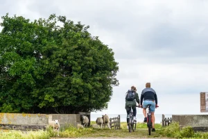 Duik in onze fiets- en bootavonturen 