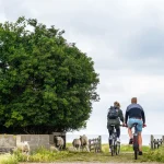 C f friesland schapenpad