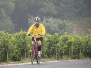 Koe antiikin Rooman kaupunkien arkkitehtoniset ihmeet.