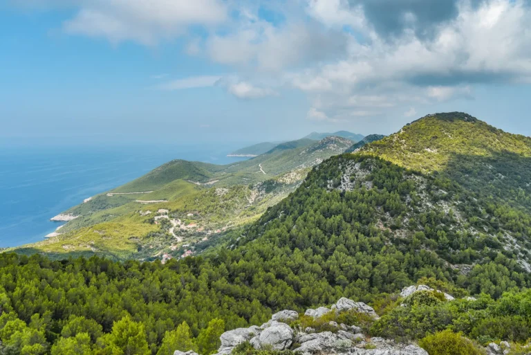 Isola croata di Mljet vista sulla costa dalla montagna