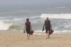 Connect with nature in serene dune reserves and forests
