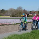 Da df fietsen langs tulpenveld