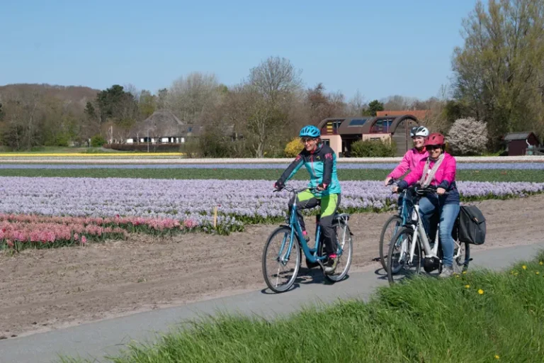 Da df fietsen langs tulpenveld