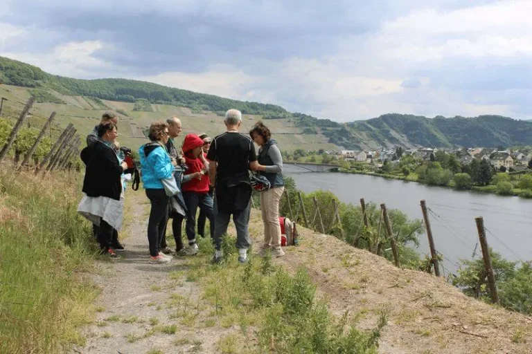 Visite des vignobles par les hôtes