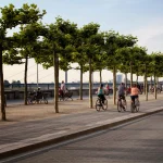Mensen fietsen langs de Rijn. Er zijn ook bomen in beeld. Beeld communiceert levensstijl en cultuur van Düsseldorf.