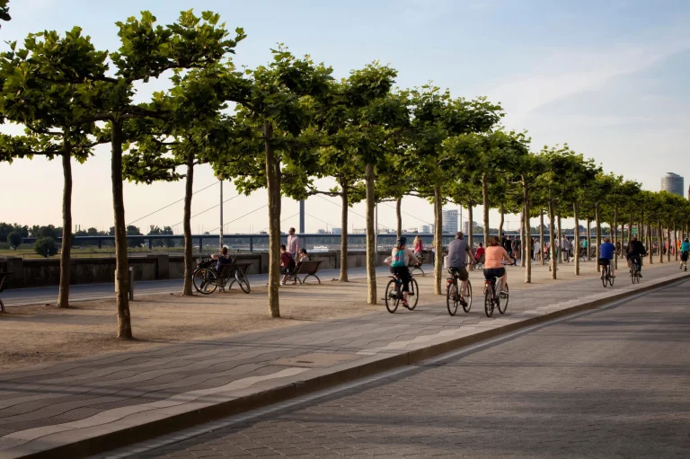 Des gens se promènent à vélo le long du Rhin. La ligne des arbres est également visible. L'image communique le style de vie et la culture de Düsseldorf.