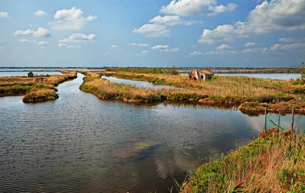 paesaggio del Parco del Delta del Po a Rosolina, Veneto, Italia