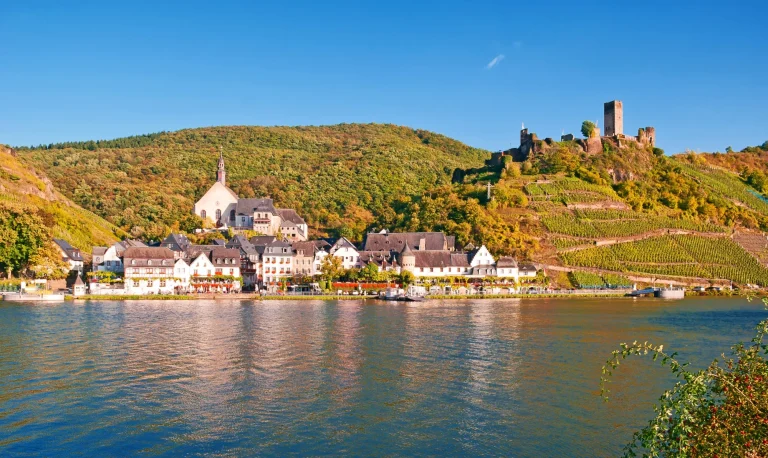 Weindorf Beilstein an der Mosel kurz vor der Weinlese